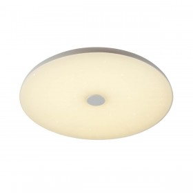 Потолочный светодиодный светильник Sonex Vasta led Roki muzcolor 4629/DL 