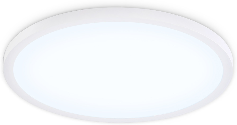 Ambrella Потолочный светильник ORBITAL FZ1959 