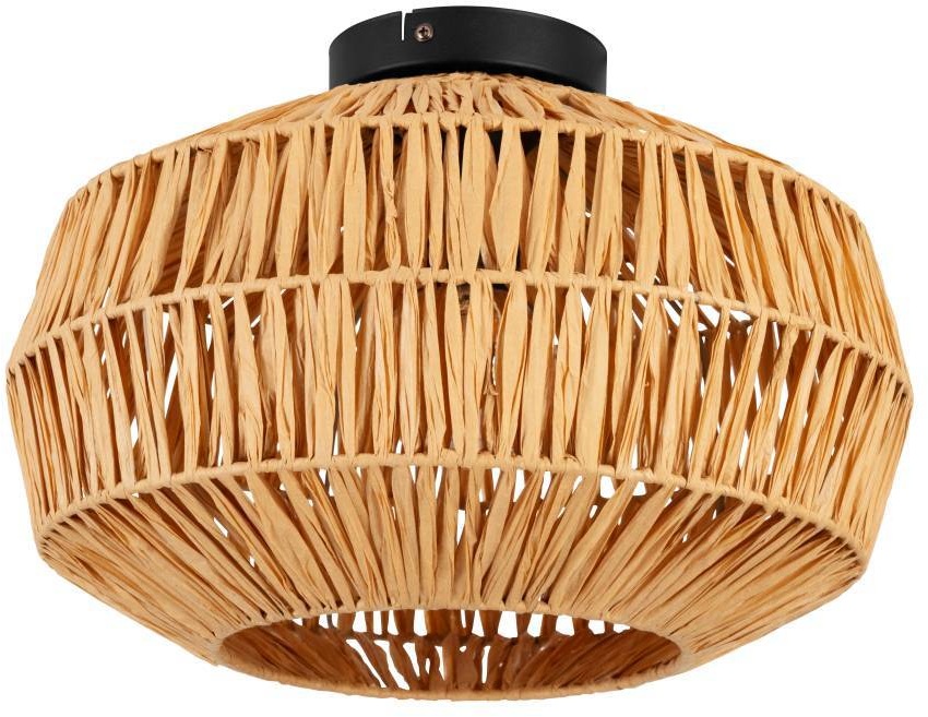 Eglo Потолочный светильник Sheldon 44142 