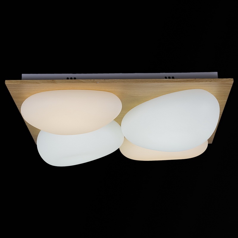 Reluce Потолочный светильник  10010-0.3-80W AEROLITE 