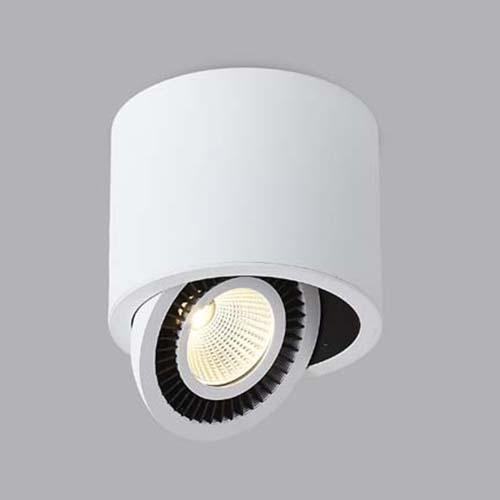 Точечный светильник DL18700 DL18700/11WW-White Dim 