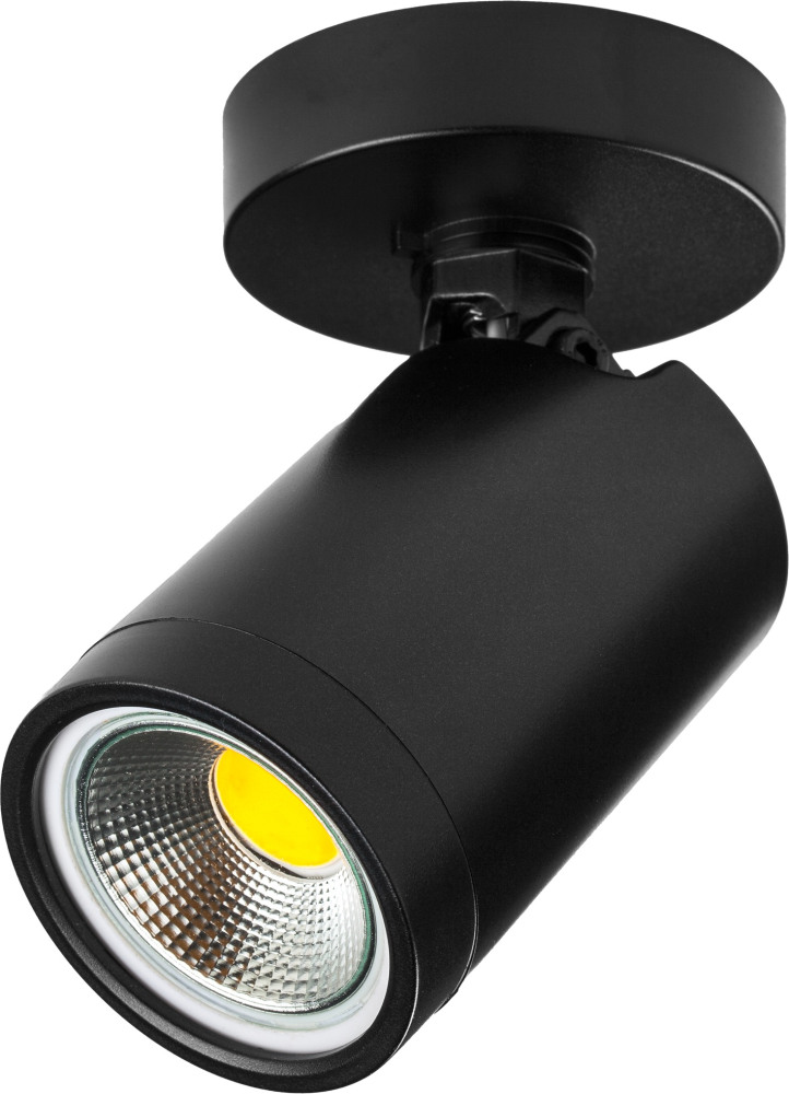 Lightstar Точечный светильник Rullo 213407 