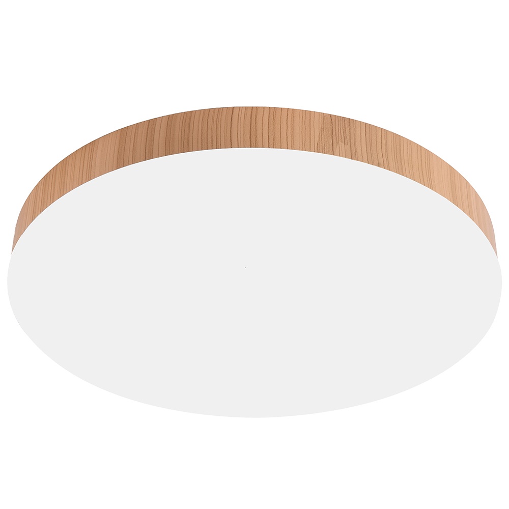 Feron Потолочный светильник AL1600 51109 