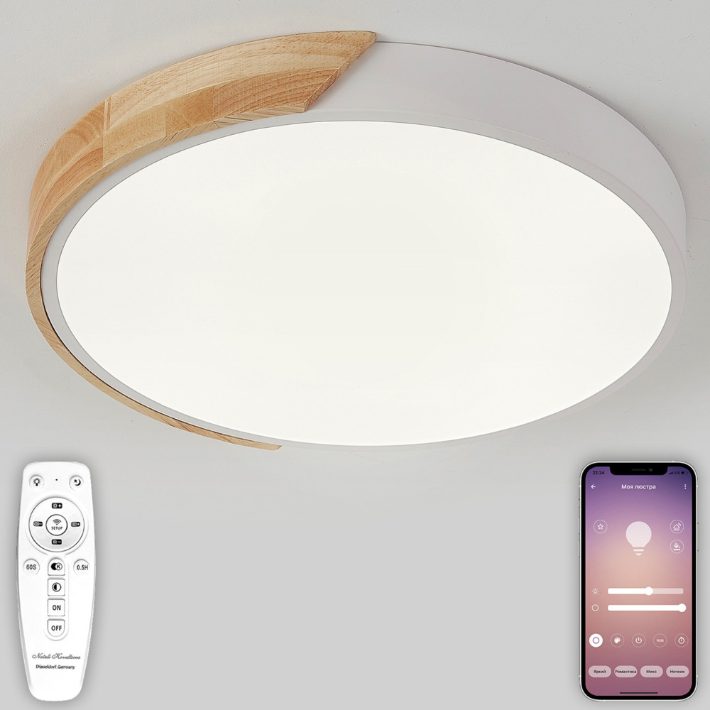 Потолочный светильник Scandinavian LED LAMPS 81181 