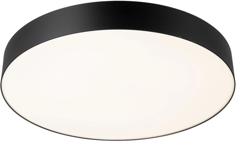 Citilux Потолочный светильник Bart CL755491 