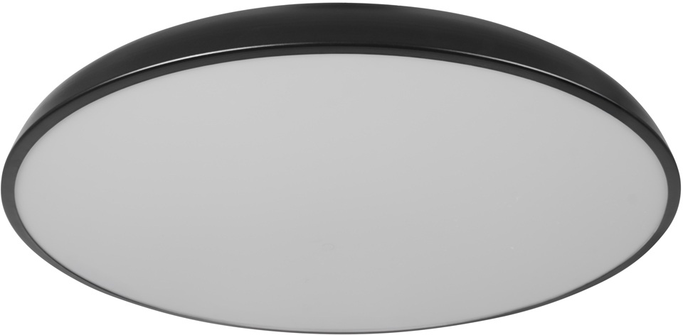 Loft It Потолочный светильник Dime 10371 Black 