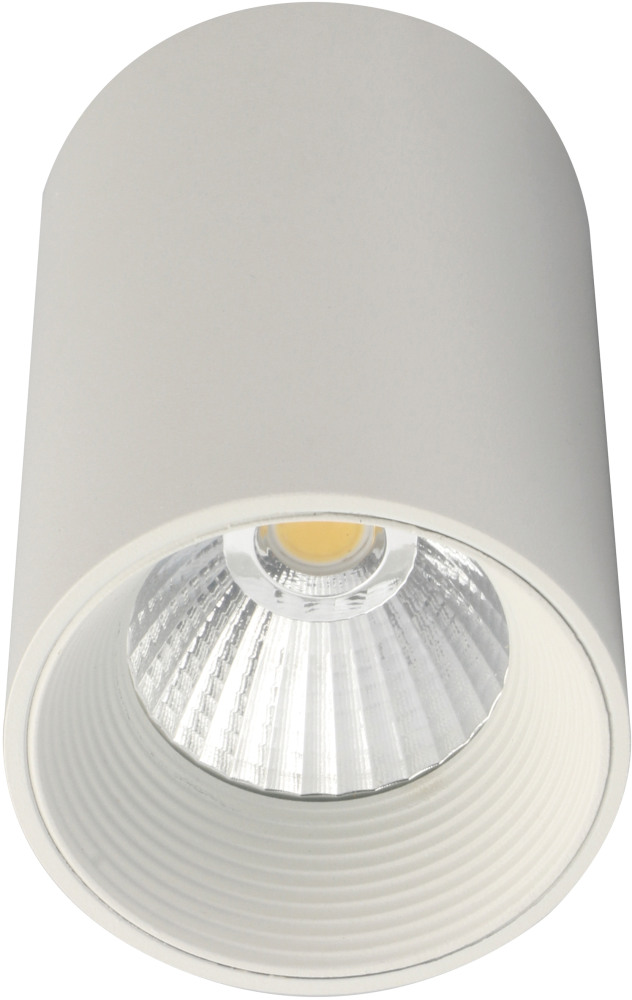 Escada Точечный светильник 20003 20003SMU/01LED SWH 