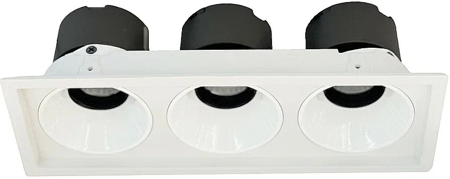 Wertmark Точечный светильник Dorsum WTD.O21.000.30.30 