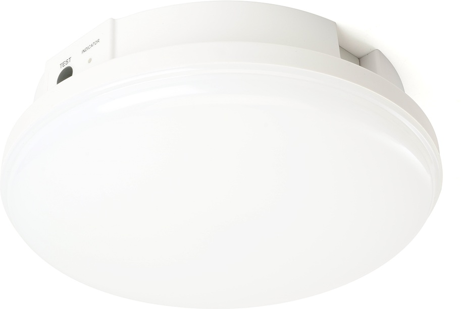 Feron Потолочный светильник AL3025 48985 