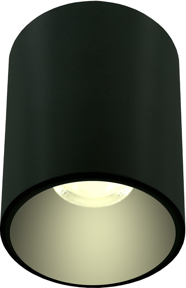 Lightera Точечный светильник Shamrock LE201CL-1BA 