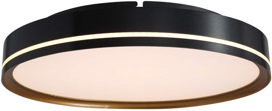 DeLight Collection Потолочный светильник 0527 C0527-400A black/gold 