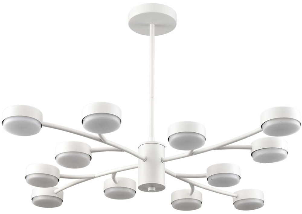 Lumion Потолочная люстра Torina 8265/12 