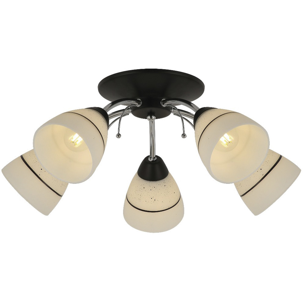 TopLight Потолочная люстра Winnifred TL1255D-05BC 