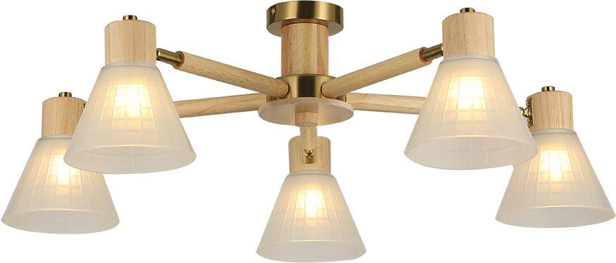 Arte Lamp Потолочная люстра Meleph A4096PL-5BR 