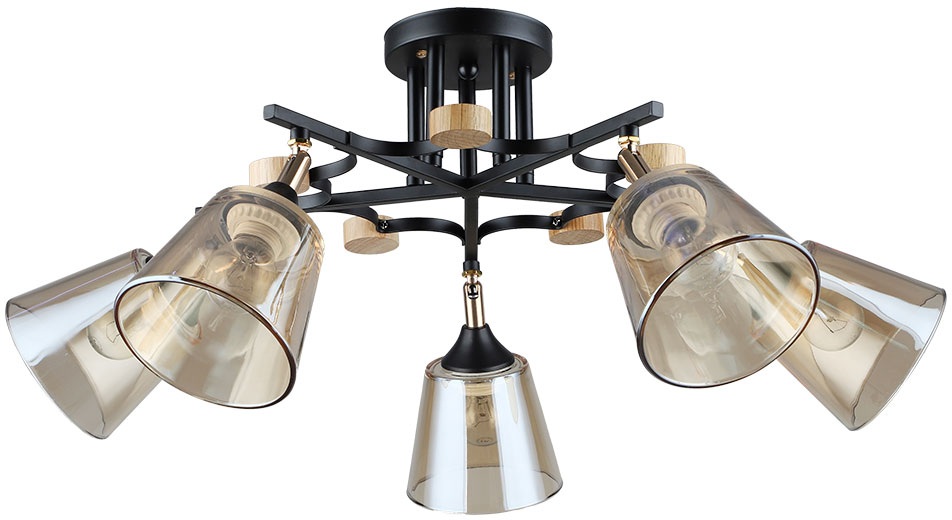 Arte Lamp Потолочная люстра Glassy A5078PL-5BK 