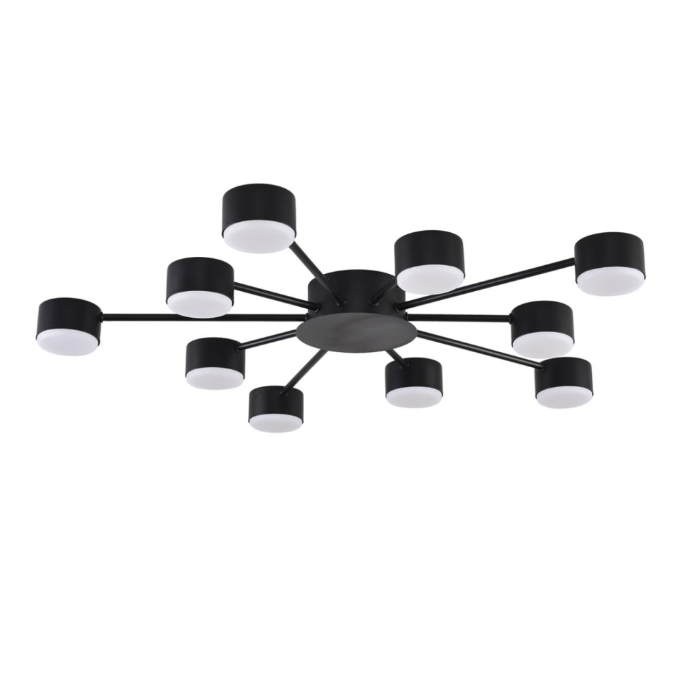 Lumion Потолочная люстра Torina 8344/10C 