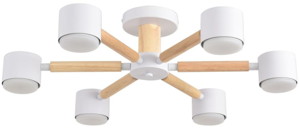 Lumion Потолочная люстра Vudi 8306/6C 