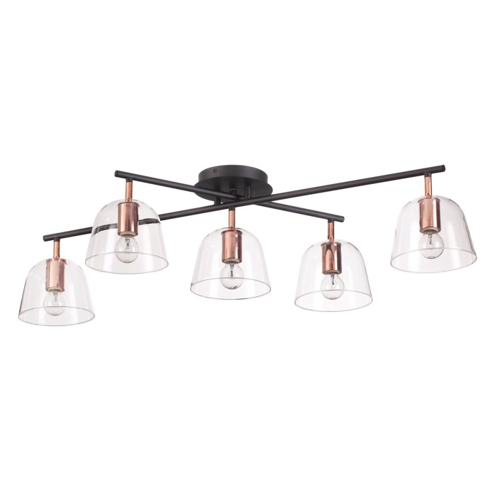 Lumion Потолочная люстра Joseph 4455/5C 