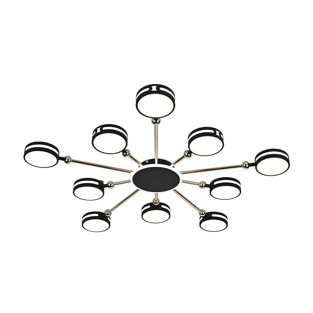 Escada Потолочная люстра  10206/10LED BL 