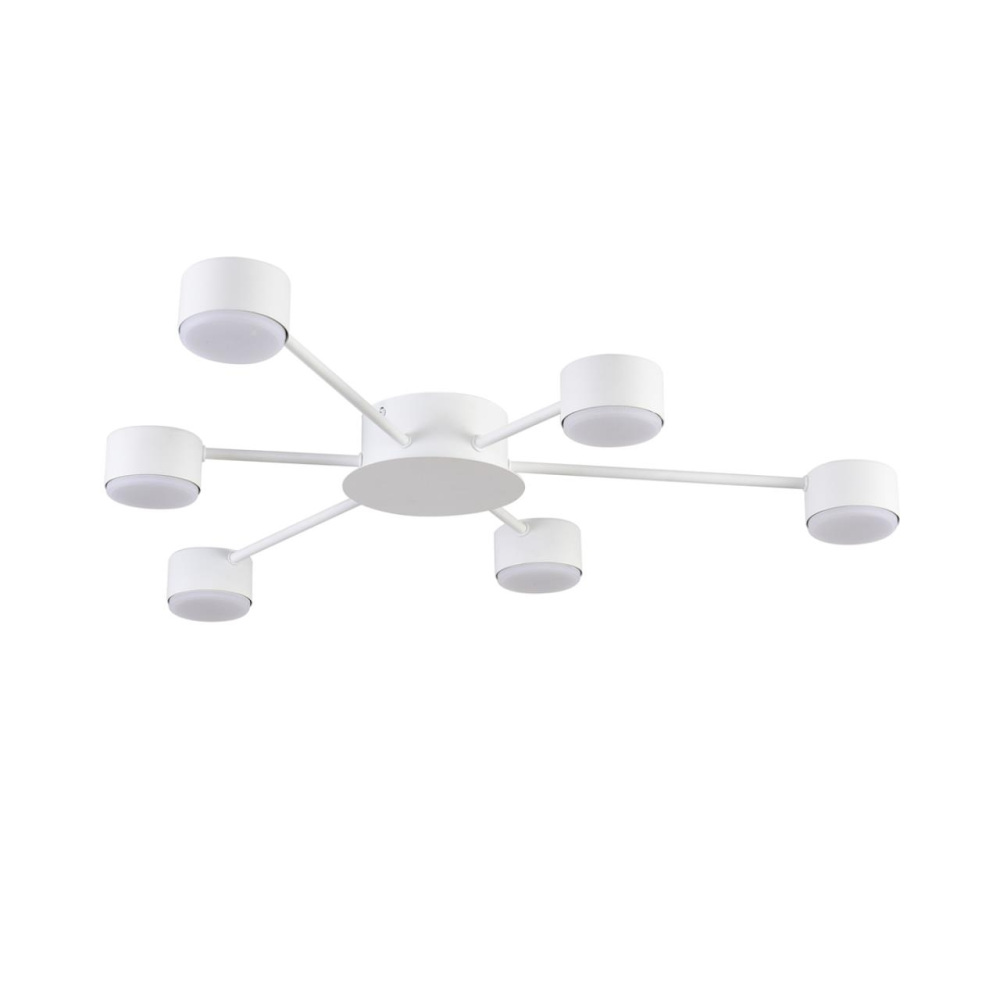 Lumion Потолочная люстра Torina 8343/6C 