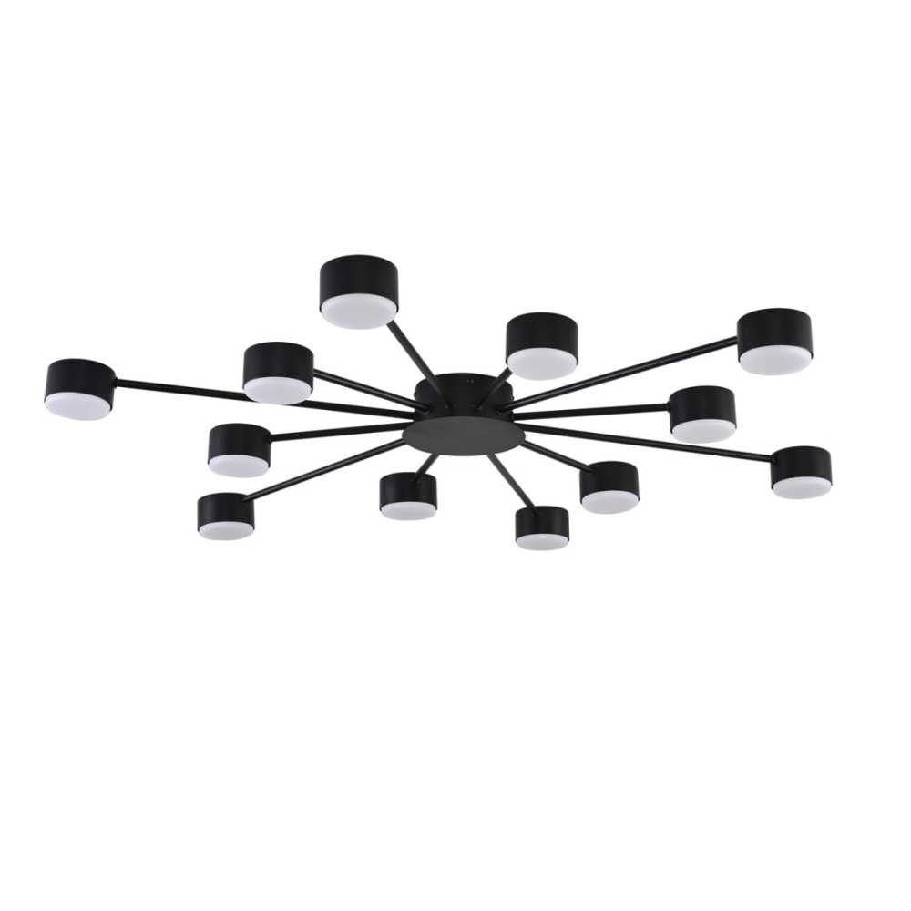 Lumion Потолочная люстра Torina 8344/12C 