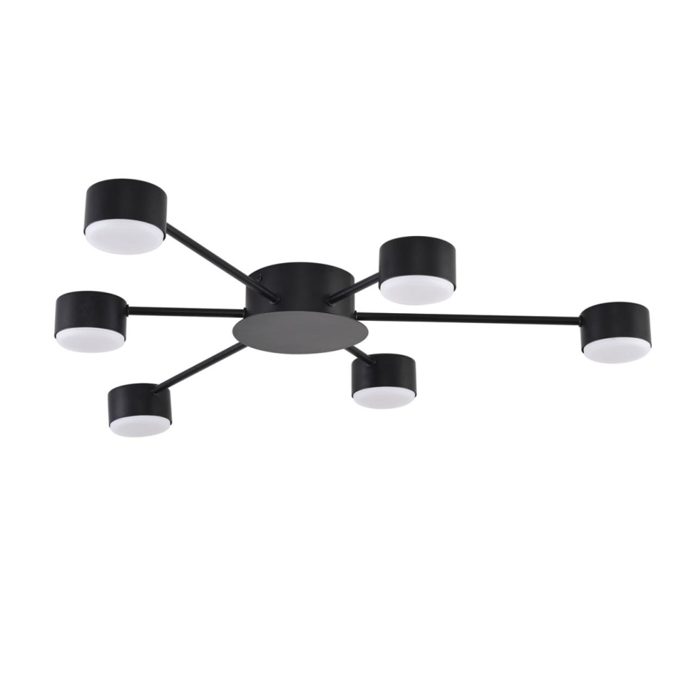 Lumion Потолочная люстра Torina 8344/6C 