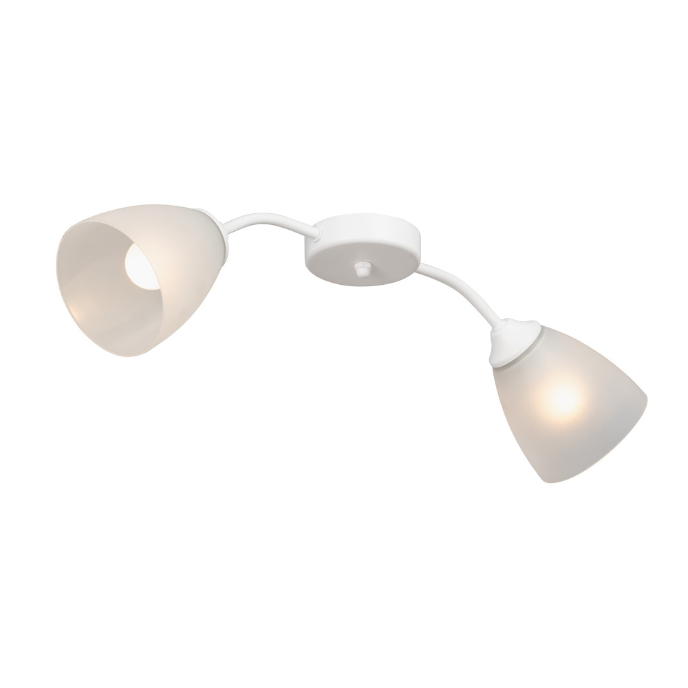 Vitaluce Потолочная люстра  V3750/2PL 