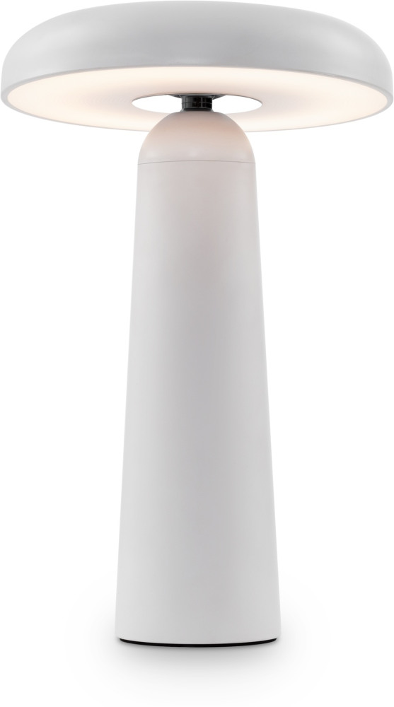 Freya Интерьерная настольная лампа Mushroom FR6109TL-L4W 