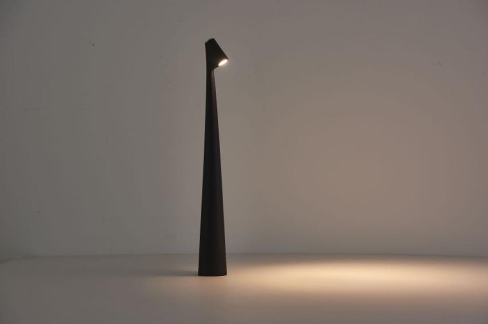 Alfa Light Интерьерная настольная лампа  F3924-48 