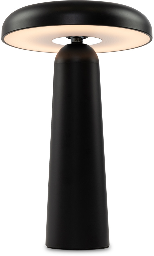 Freya Интерьерная настольная лампа Mushroom FR6109TL-L4B 