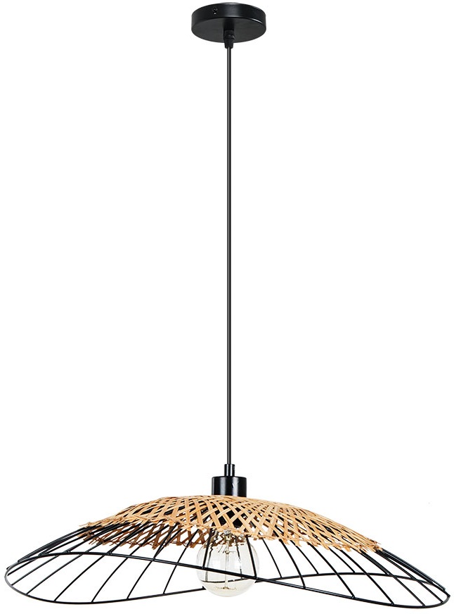 Arte Lamp Подвесной светильник Woodstock A7061SP-1BK 