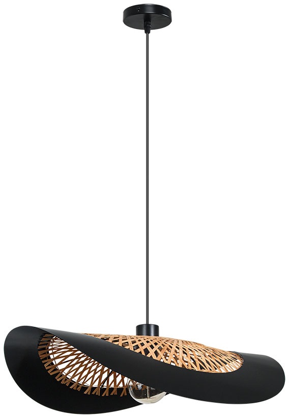 Arte Lamp Подвесной светильник Woodstock A7059SP-1BK 