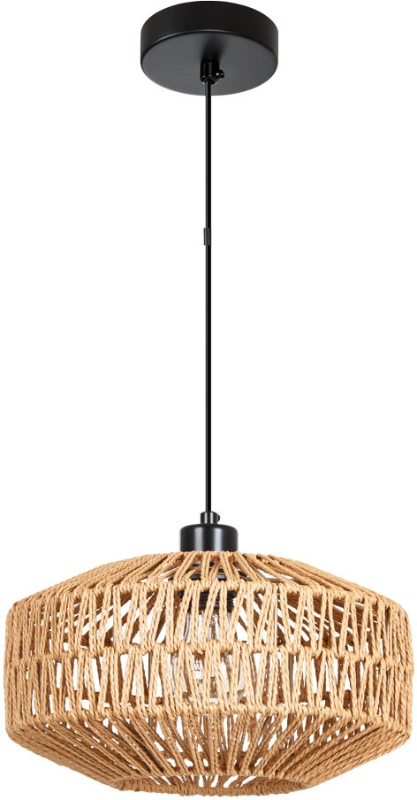 Arte Lamp Подвесной светильник Brushwood A7087SP-1BK 