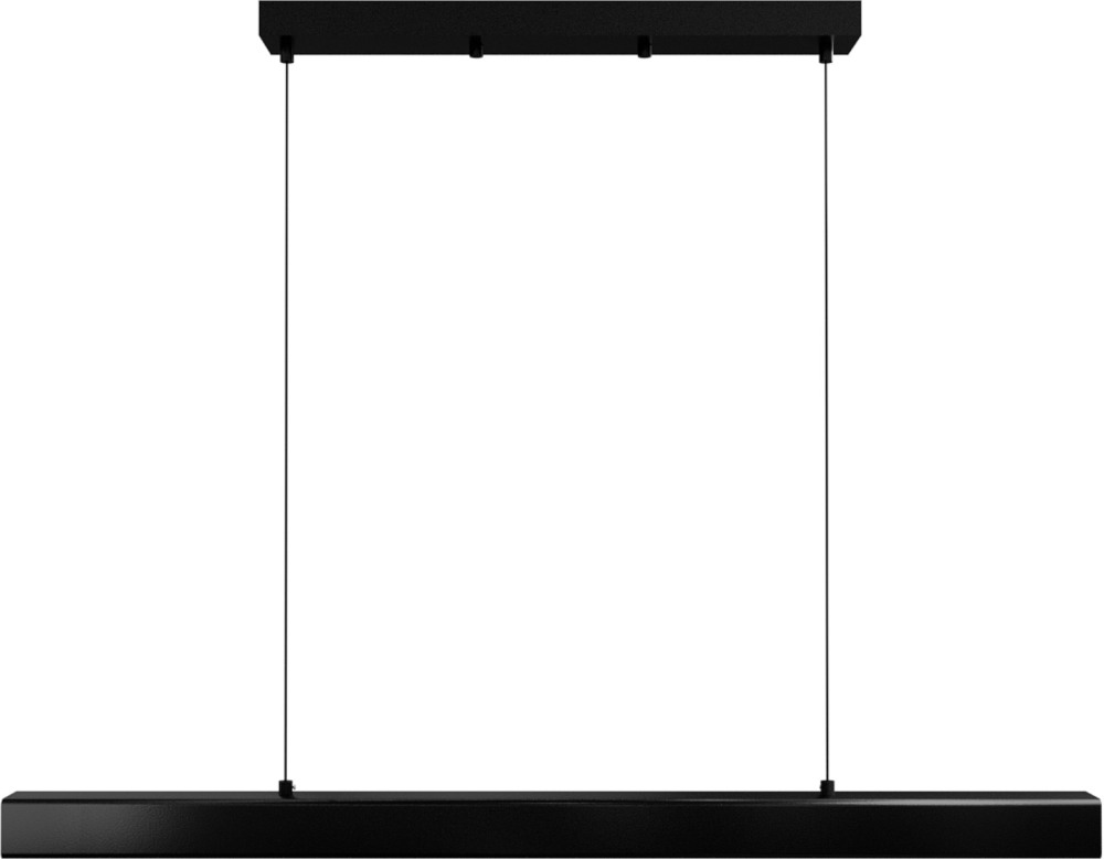 Lightera Подвесной светильник Baffin LE112L-100B WIFI 