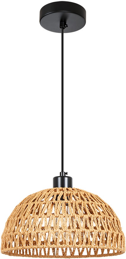 Arte Lamp Подвесной светильник Brushwood A7086SP-1BK 