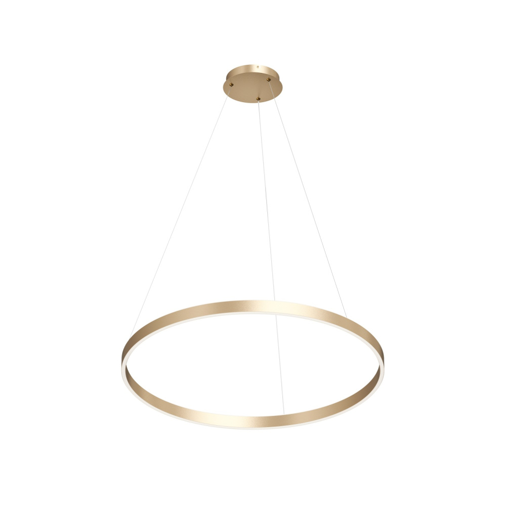 Denkirs Подвесной светильник RAYDIA DK6272-SG 