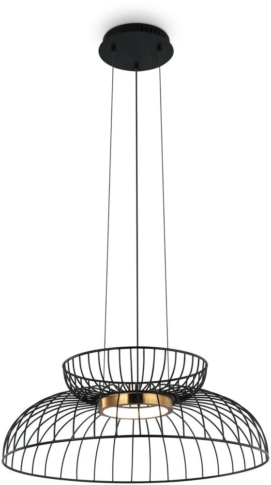 Подвесной светильник Citrus FR5398PL-L6B 