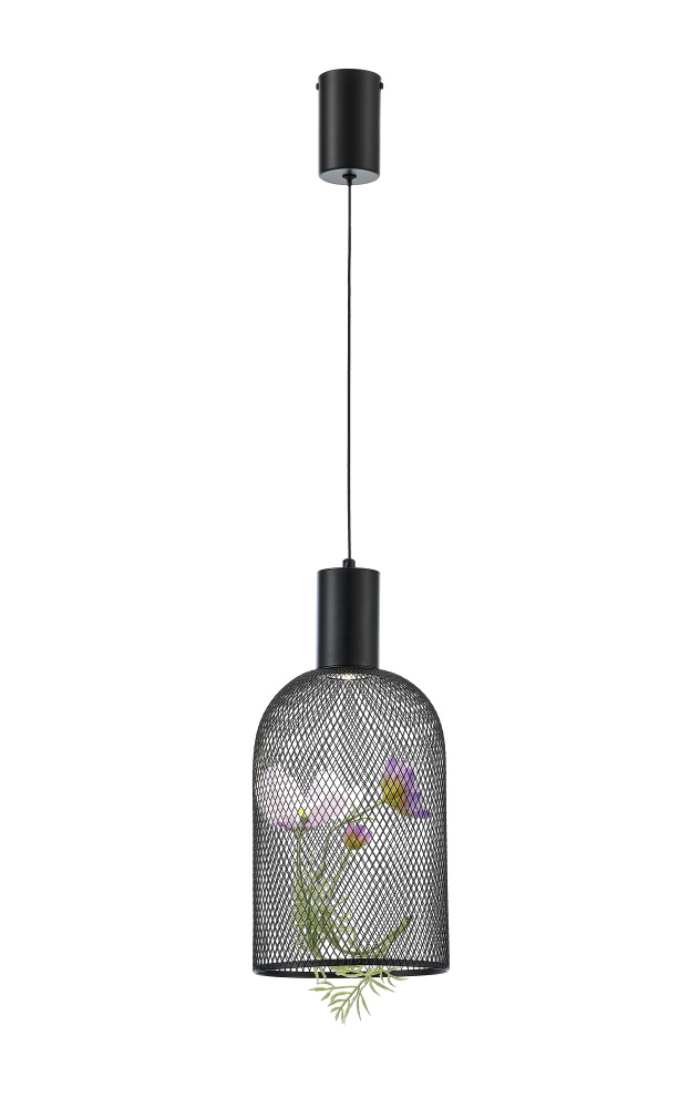 Moderli Подвесной светильник Ophelia V11874-PL 