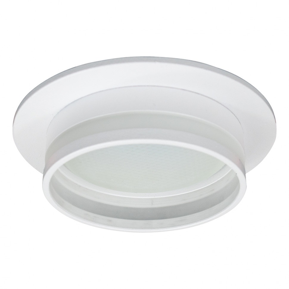 Feron Точечный светильник DL502 51089 