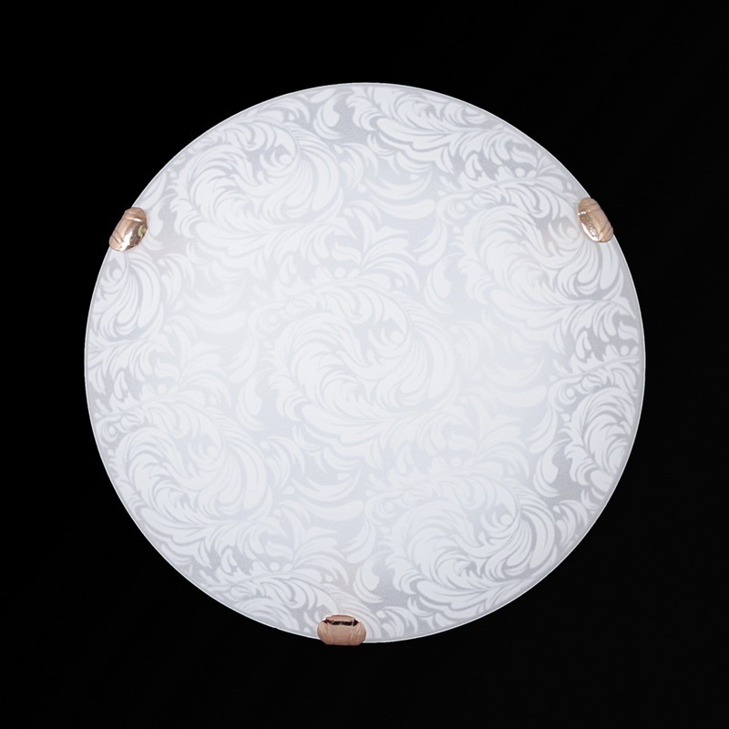 Sneha Настенно-потолочный светильник  Перья мат (300) НПБ 01-2х60-001 