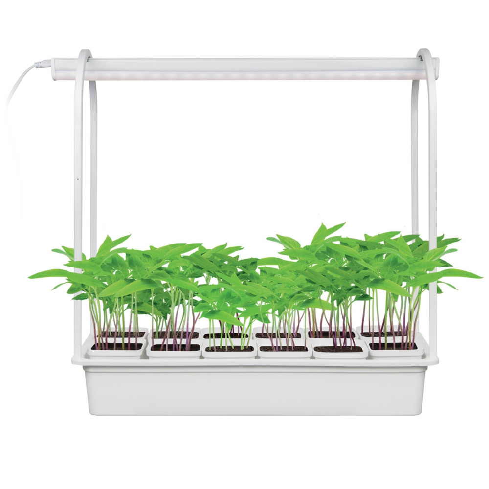 Uniel Настольная лампа для растений  ULT-P34-10W/SPBR IP20 WHITE 12 