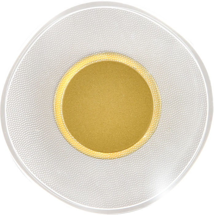 Indigo Настенный светильник Veletta V000165L 