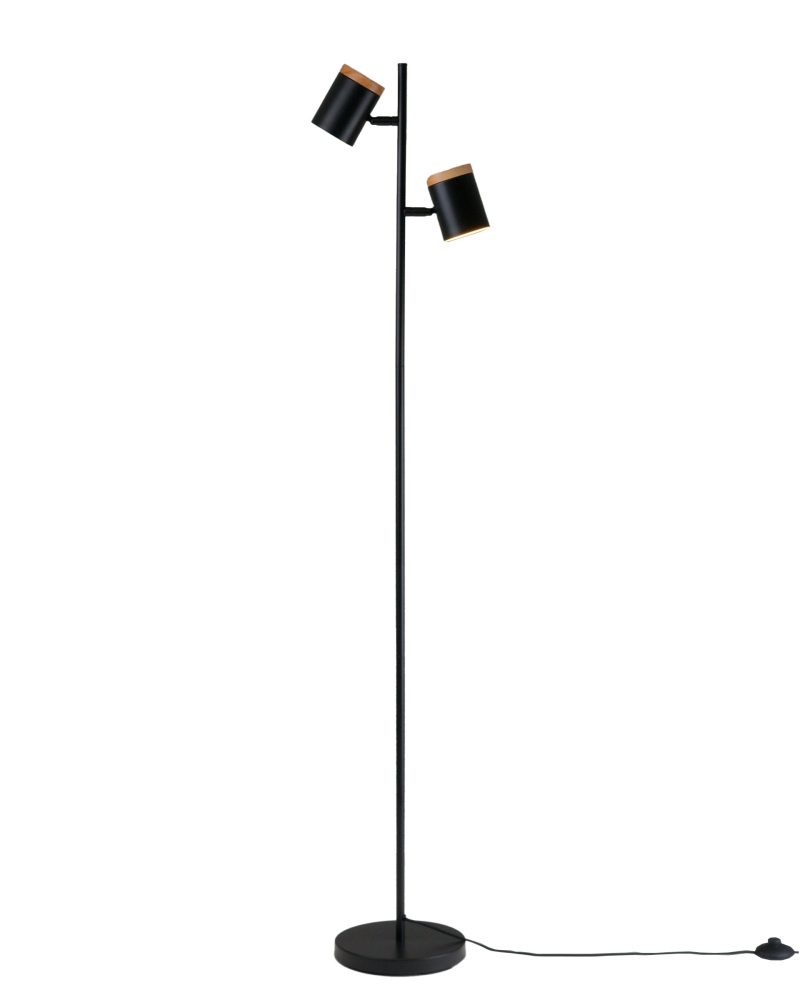 Moderli Торшер Asheswood V11287-2F 