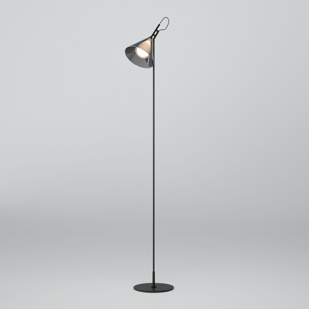 Eurosvet Торшер Enigma 01187/1 черный 