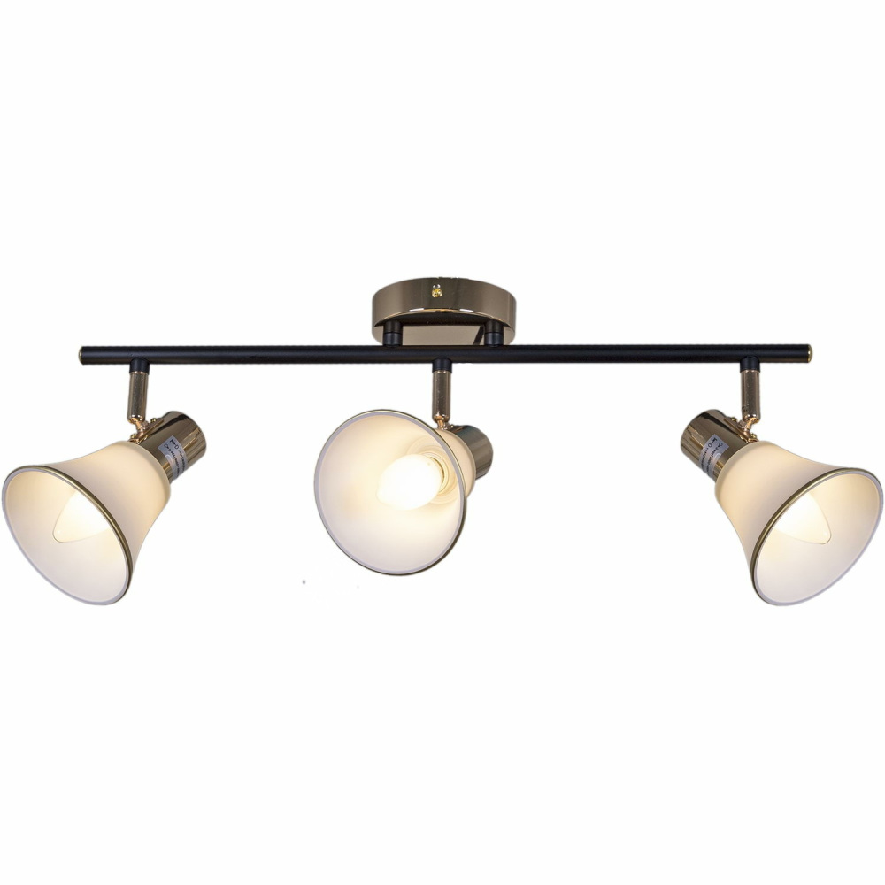 Reluce Спот  05901-0.8-03 BK+FGD 