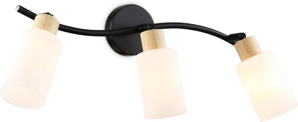 Ambrella Спот TRADITIONAL TR8722 