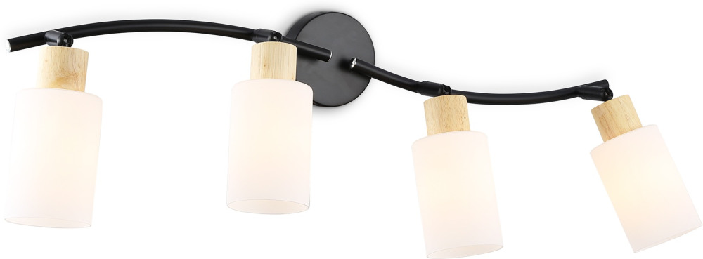 Ambrella Спот TRADITIONAL TR8723 