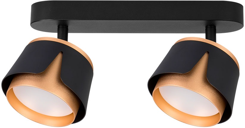 Arte Lamp Спот Amaks A8028PL-2BK 