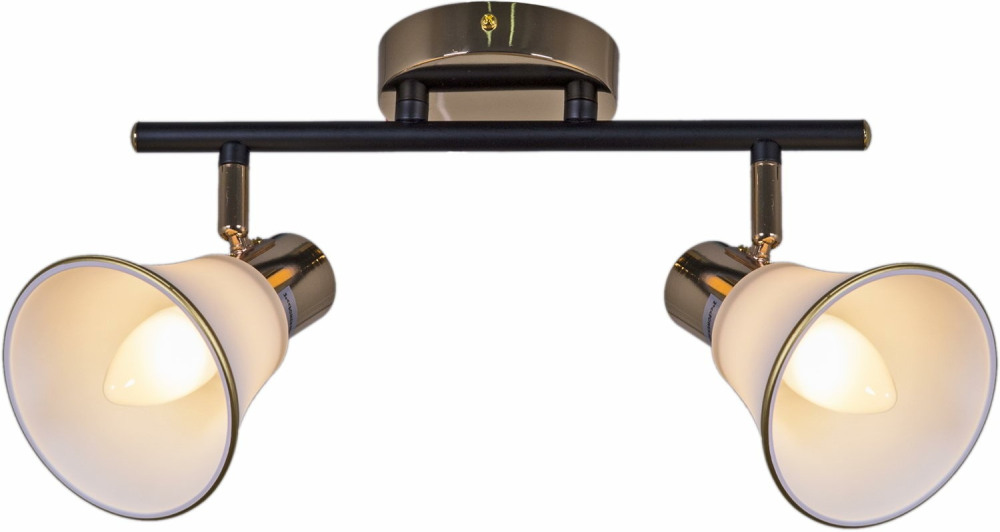 Reluce Спот  05901-0.8-02 BK+FGD 