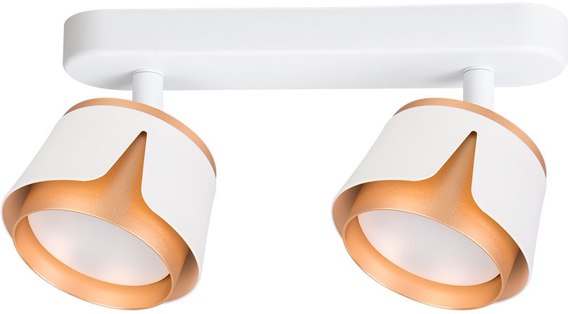 Arte Lamp Спот Amaks A8028PL-2WH 